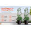 Treillis de jardin en métal pour plante grimpante support antirouille 71 x 20