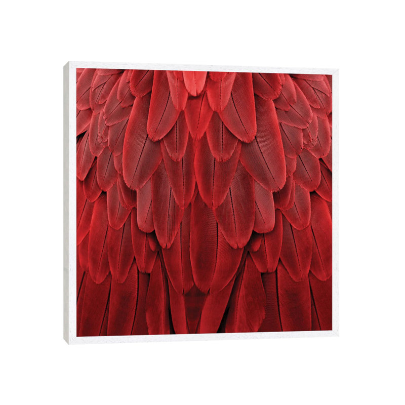 Feathered Friend In Red 1 Piece Wall Art on Canvas, 93.98cm H x 93.98cm W, White Floater Framed