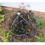 Minjares Metal Plant Support