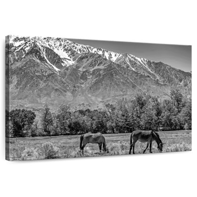 Alvord Monochrome Sierra Nevada