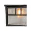 1 - Light Flush Mount