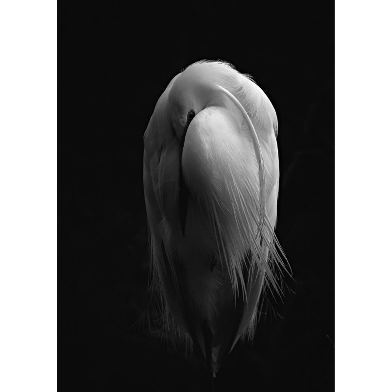Wrapped Canvas Print, 76.2 cm H x 50.8 cm W