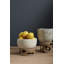 Danny Handmade Ceramic Pot Planter-147678384