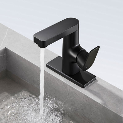 Single Hole Bathroom Faucet with Drain Assembly