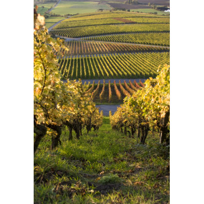Mandaree Mandaree Weinberg - Wrapped Canvas Print