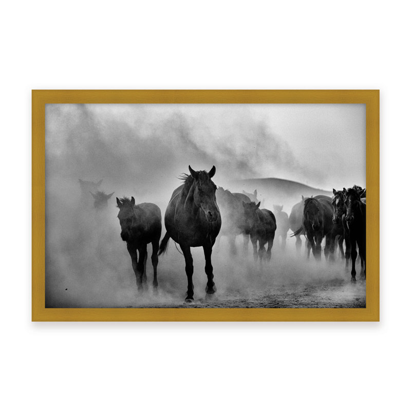 Nature Inspired Untitled by  - Picture Frame Photograph on Paper, 16" H x 24" W x 1.125" D, Black, Framed Matted Print