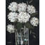 «Red Barrel Studio® Sherrill», galerie d'art sur toile tendue par Kate, White Hydrangeas I-1597827097