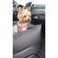 Tavion Codura Pet Bed-226249212