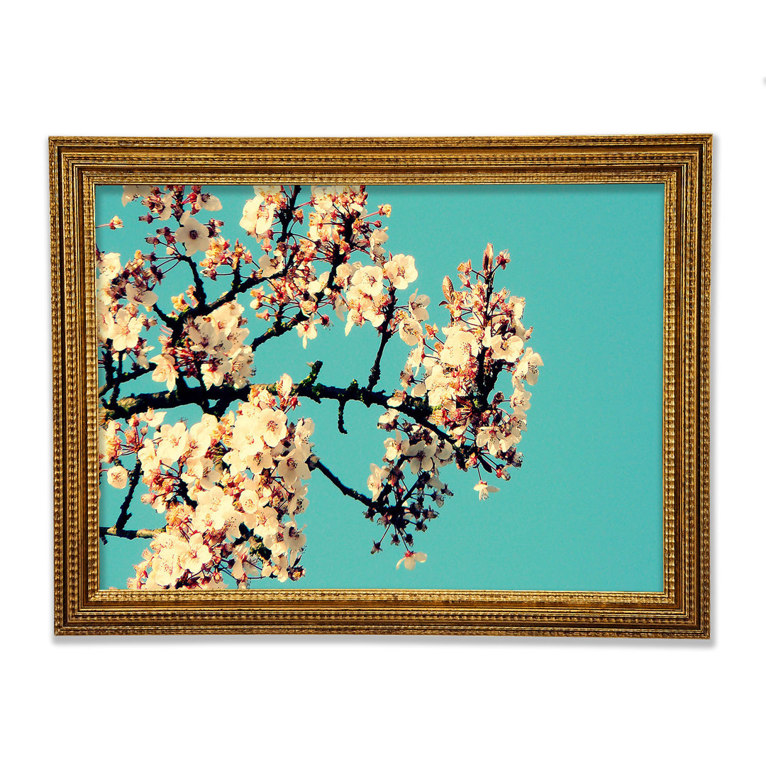 Gerahmtes Poster Blossom Tree Against A Blue Sky