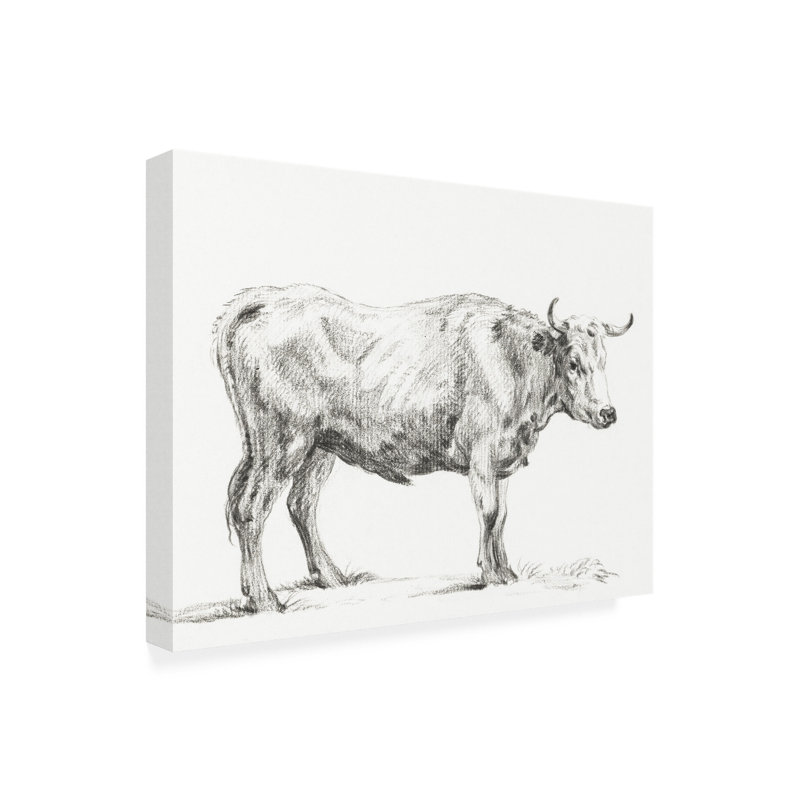 «Bernard's Bull Renderings II» sur, H 35 po x l 35 po