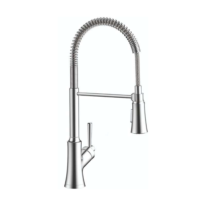 Joleena Pull Out Single Handle Kitchen Faucet, Chrome