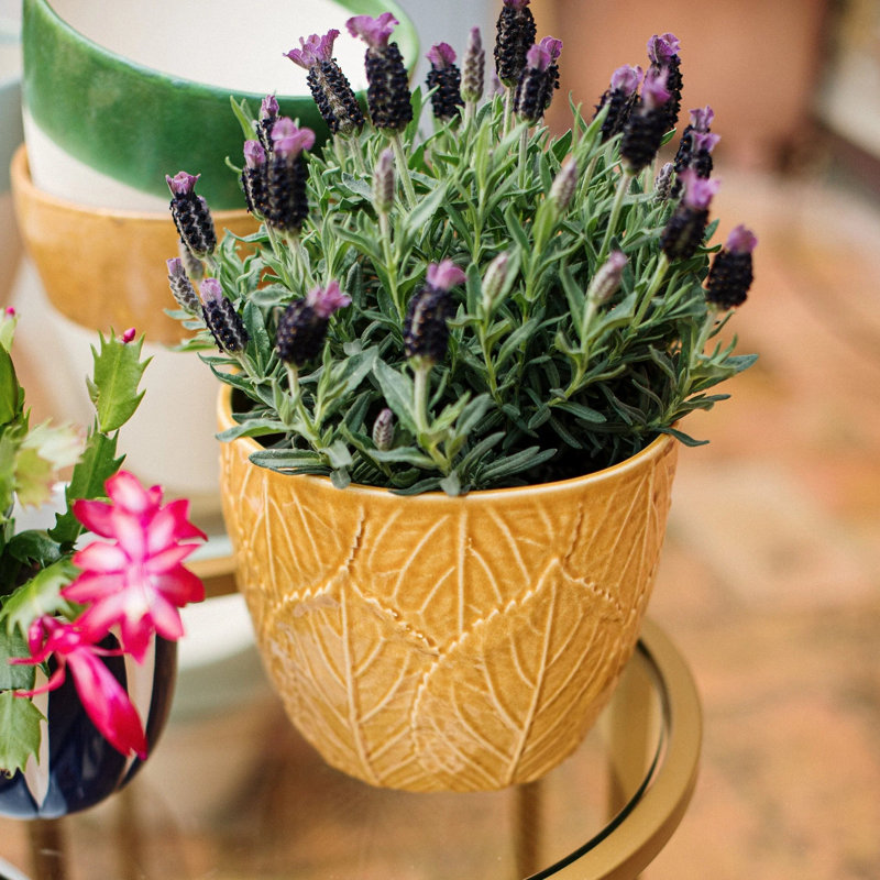 Viva Handmade Planter, Amber