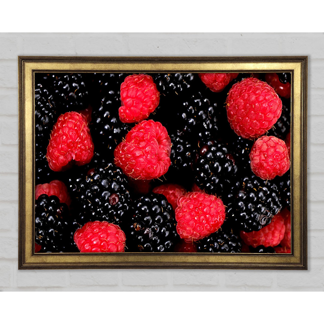 Himbeeren und Brombeeren - Einzelne Bilderrahmen Kunstdrucke