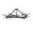 86" Wide Gardner Chandelier