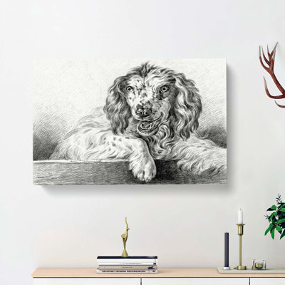 Springer Spaniel Dog by Jean Bernard - Wrapped Canvas Drawing - Wrapped Canvas