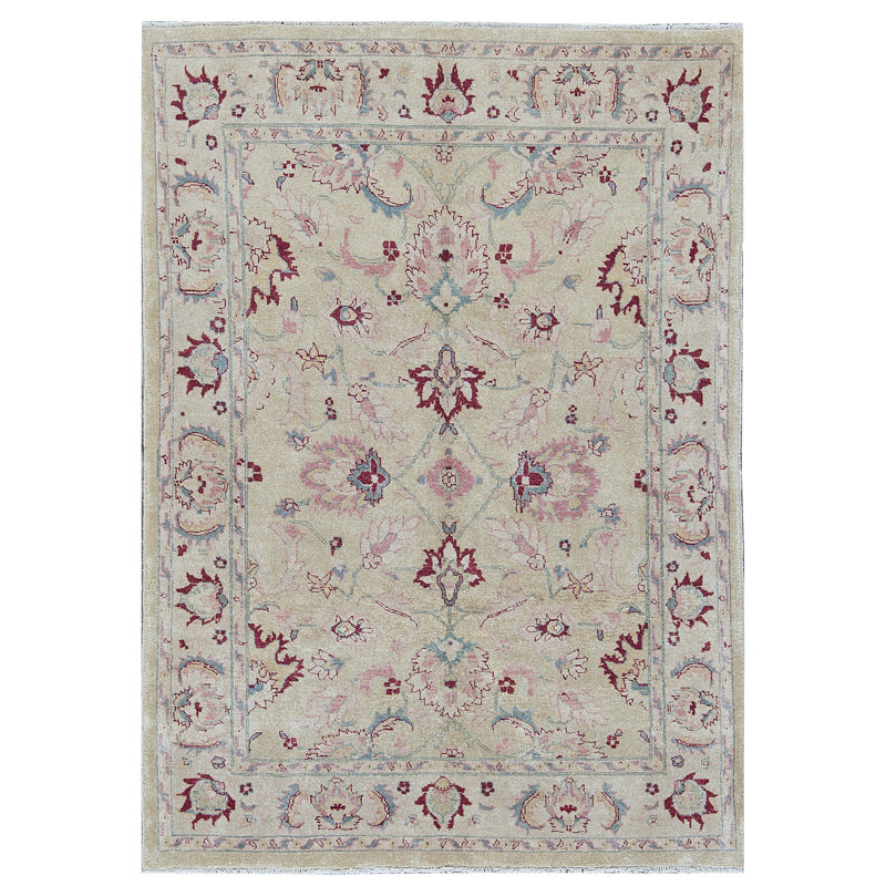 Hand-Knotted High-Quality Beige Area Rug