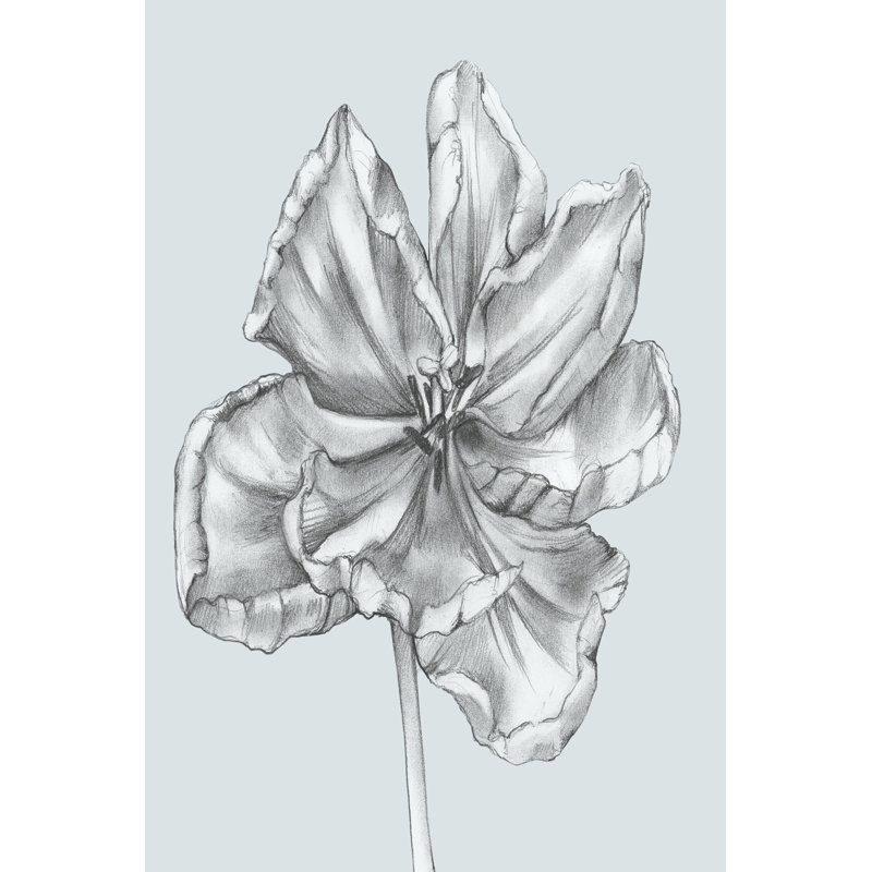Silvery Blue Tulips IV (U) by Jennifer Goldberger - Wrapped Canvas Print, 91cm H x 61cm W x 3.8cm D