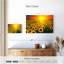 Alvord, coucher de soleil avec tournesols-107502710
