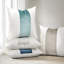 Ensemble de 2 housses de coussin en velours-116784282-116784278