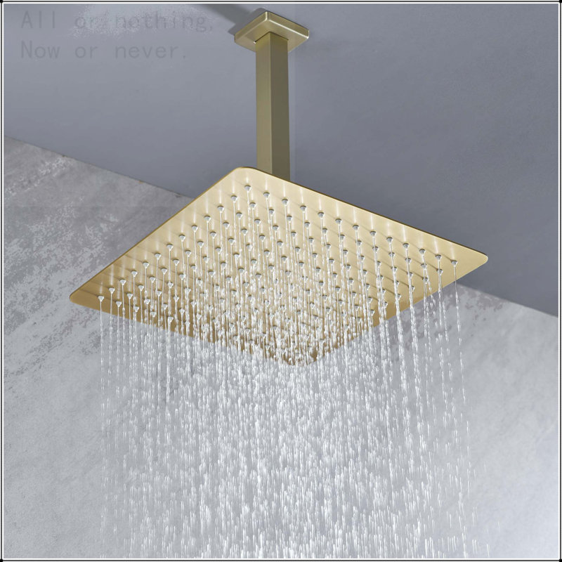 Pomme de douche à pluie haute pression 10 po
