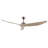 Longway 60'' Ceiling Fan
