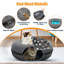Grotte moyenne pour chat Peekaboo de 20 pouces pour chats d'intérieur, lit pour chat Dounut, cachette et jeu amusant, grattage d'exercice, pour chat moyen jusqu'à 9 lb-1841885992-1841885993