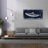 'Shark Swim 3    ' by Stellar Design Studio, Canvas Wall Art-1038561601