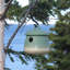 Maison d'oiseaux Eston Return Home Soft 7 po x 7 po x 7 po-1954763421