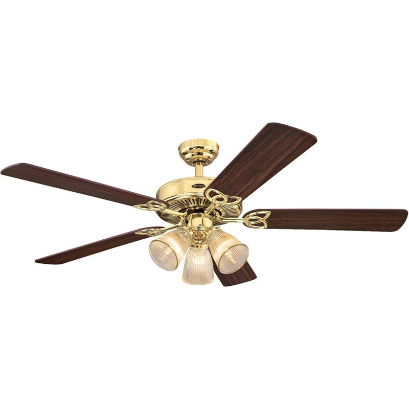 Ventilateur de plafond 20 po en rotin avec lumière, cage côtière Boho