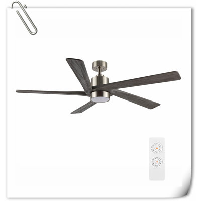 Museau Ceiling Fan with LED Lights
