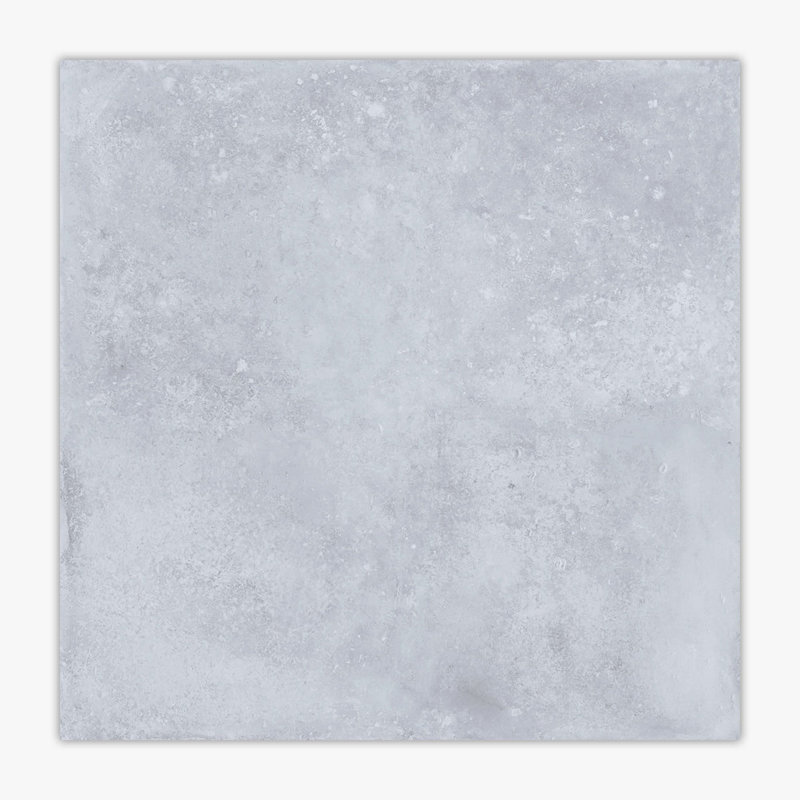 Evolve 24'' W x 24'' L Porcelain Singular Tile, Evolve Light Gray Matte