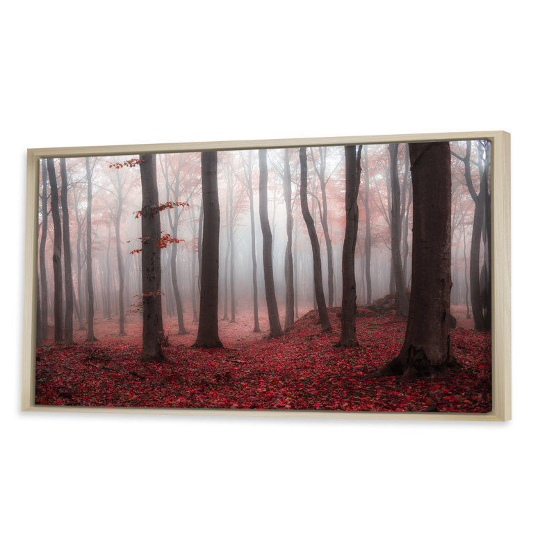 «Foggy Morning Red Forest III» - photographie sur toile, H 24 po x l 36 po x P 1 po, Cadre brun