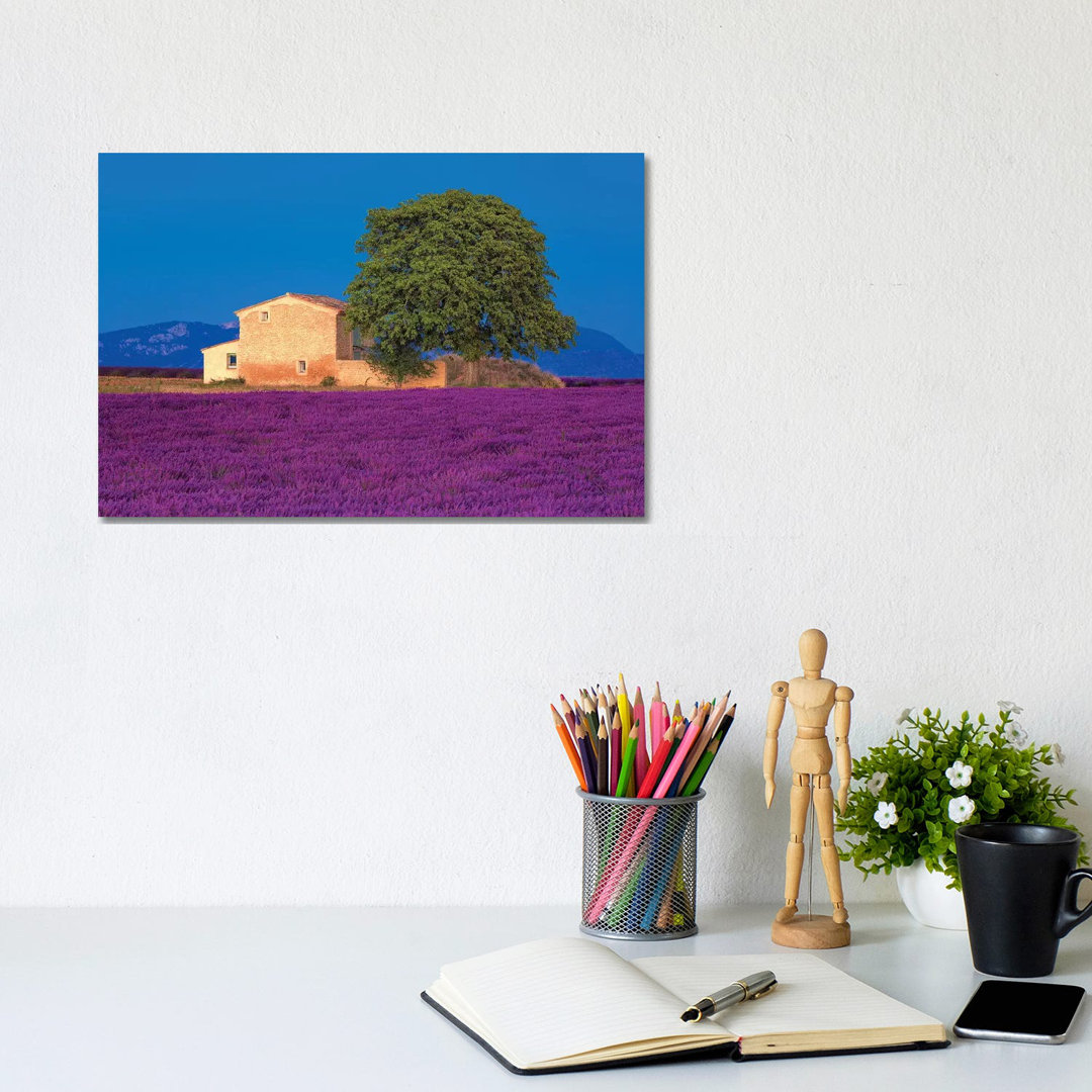 France, Provence. Lavender Field In The Valensole Plateau.