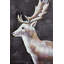 «Deer Profile View In The Dark», reproduction sur toile