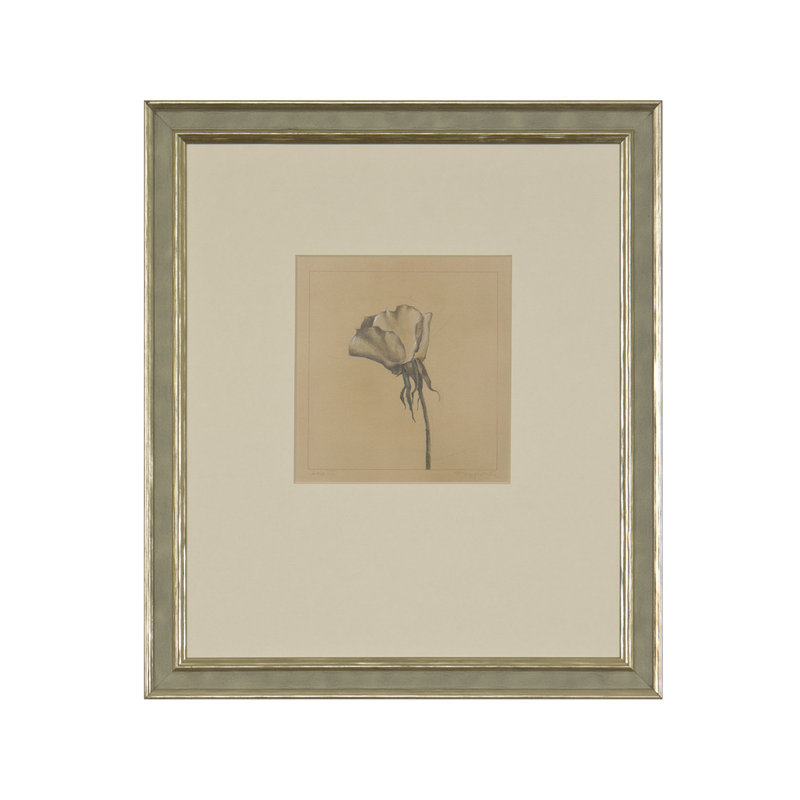 Rose III Print by Daughdrill