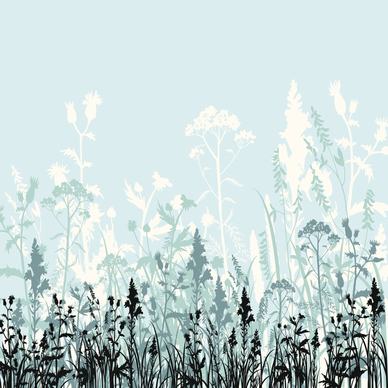 Heinrike Silhouettes Of Flowers And Grass - Wrapped Canvas Print, 30cm H x 30cm W x 3.8cm D