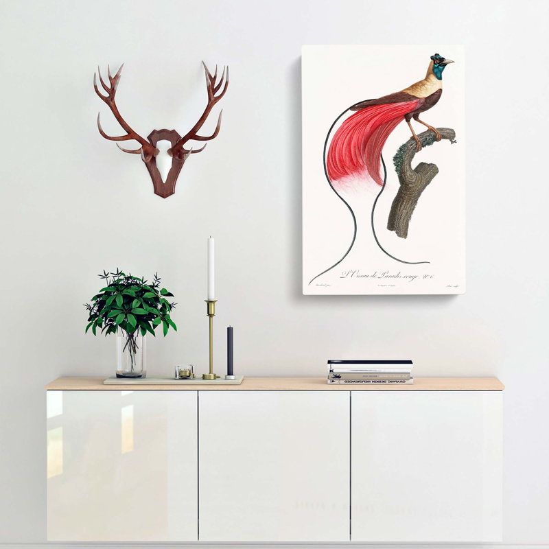 Bird Of Paradise by Jacques Barraband - Wrapped Canvas Print, 60cm H x 40cm W x 3cm D