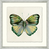 Watercolor Butterfly 4 Painting