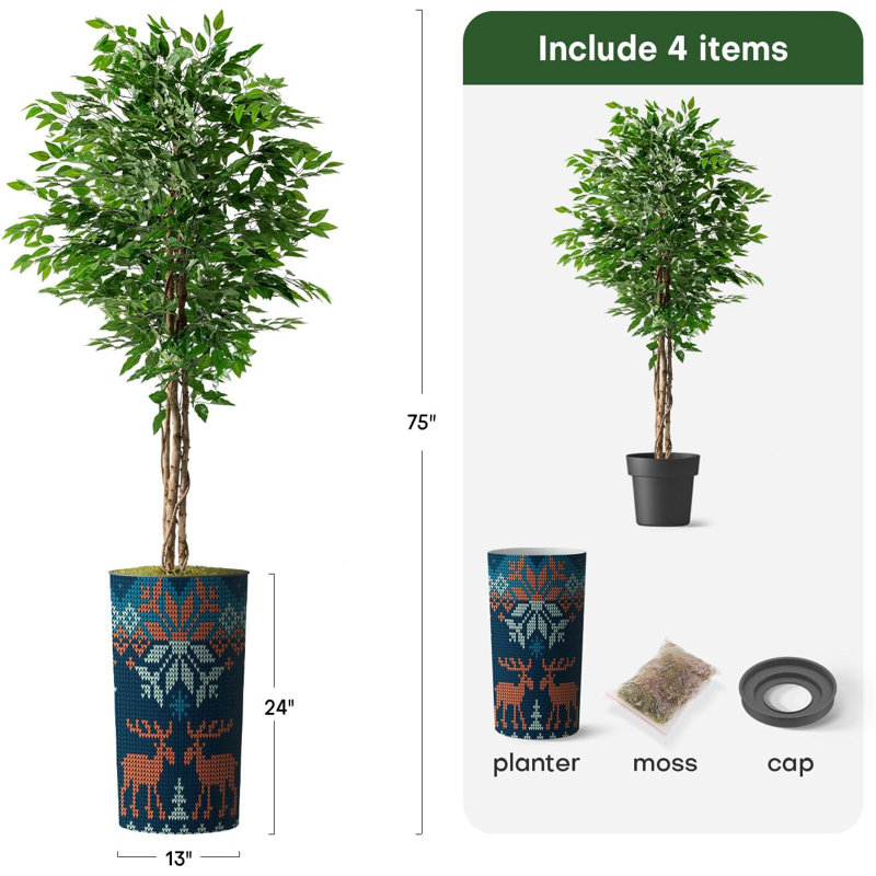 75 plantes, Orignal bleu marine