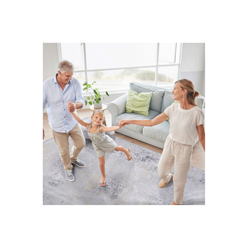 2'6''X10' Runner, Washable Rug, Low-Pile, Non-Slip, Non-Shedding, Foldable, Kid & Pet Friendly - Area Rugs For Living Room, Bedroom, Kitchen, Dining Room Rug (2'6''X10')