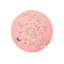 Chinoiserie Coaster-534315736