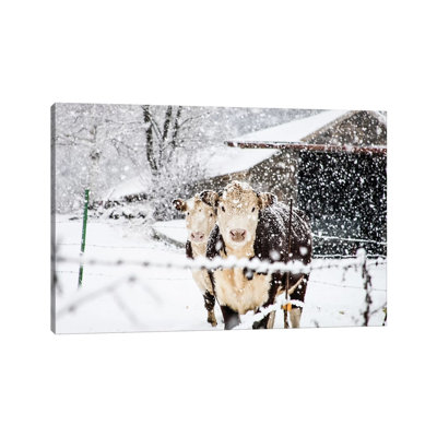 «Winter Cows» par Debbra Obertanec - impression sur toile tendue