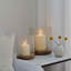 Amelia Ribbed Glass Candle Holder-1816448208