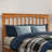 Huntsville Kids-2124867568-2035961754