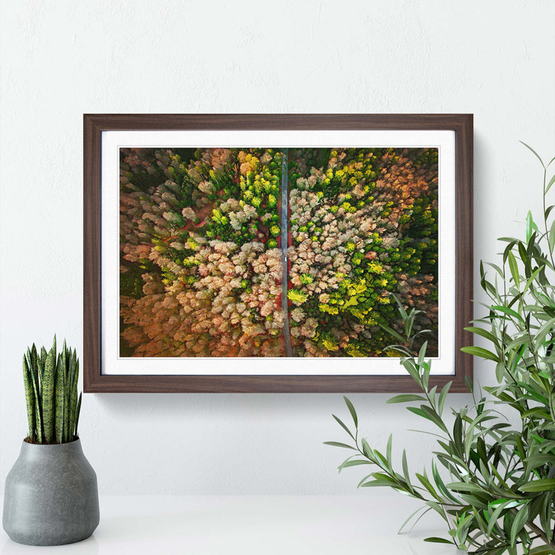 Separating the Forest - Picture Frame Graphic Art Print, Walnut, 60cm H x 91cm W x 2cm D