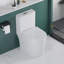 Yingze 1.6 Gallons GPF Round Comfort Height Floor Mounted One-Piece Toilet (Seat Included)