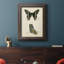 Toile encadrée de qualité supérieure Butterfly Profile IV - prête à être accrochée-631673691