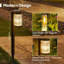 Solar Landscape Lamp - Warm Light Led Lighting For Lawns And Walkways