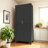 2 Shapely Doors Cabinet, Metal Storage Cabinet With Doors And Adjustable Shelves, Living Room Cabinet-1843950944-1829599233