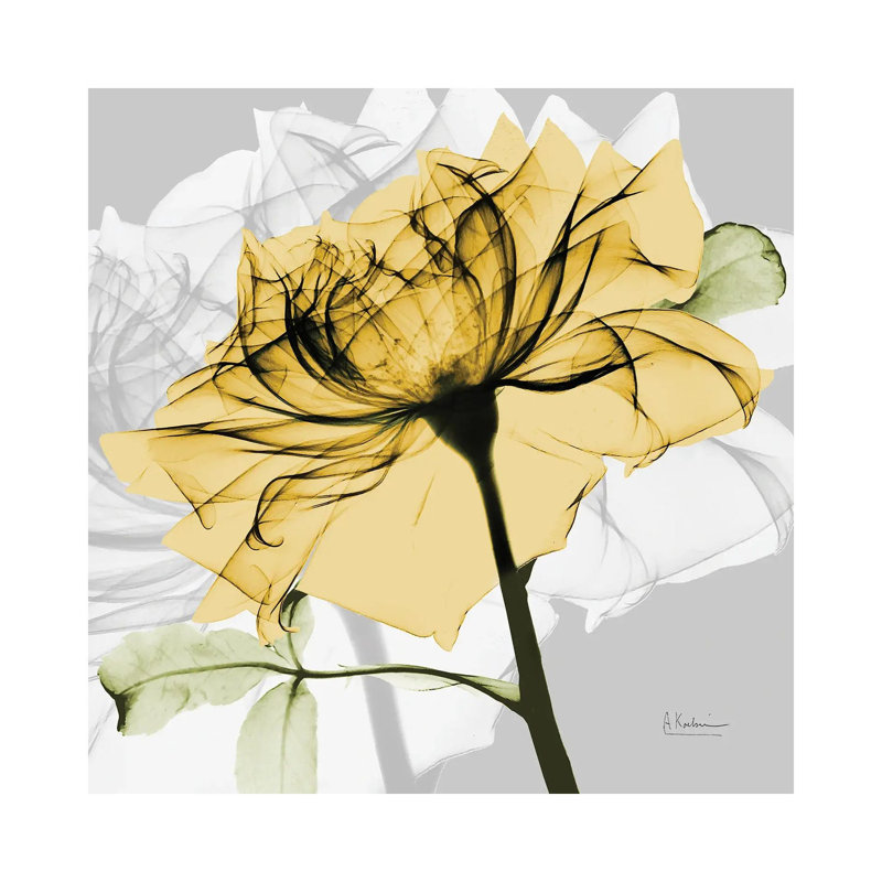 Rose In Gold V by Albert Koetsier - Wrapped Canvas Print, 45.72 cm H x 45.72 cm W x 3.175 cm D